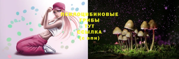 герыч Алзамай