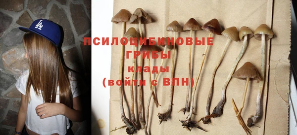 альфа пвп Дмитров