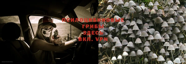 мескалин Дмитриев