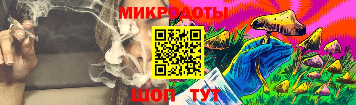 Галлюциногенные грибы Psilocybe  Вход с VPN  Тайшет  Псилоцибиновые грибы Psilocybe 