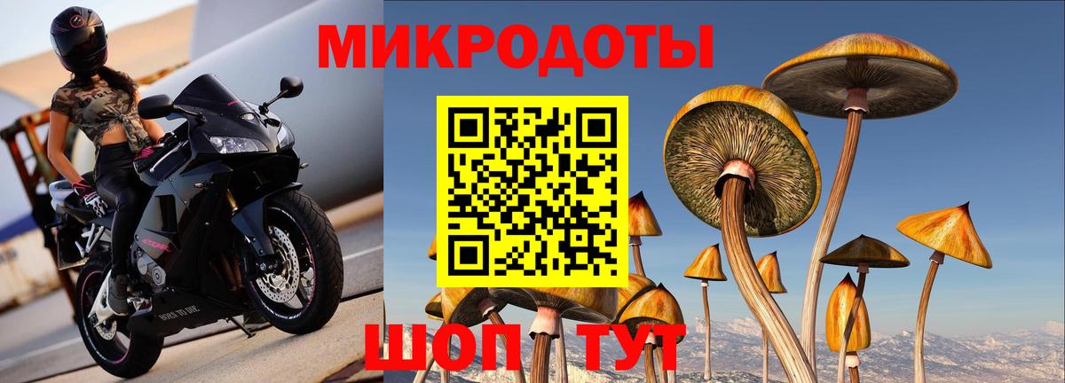 Галлюциногенные грибы Cubensis Тайшет